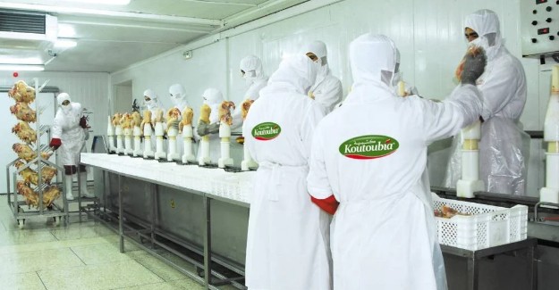 صورة المقال