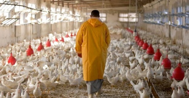 شروط امتهان : ﺗﻘﻨﻲ ﻣﺘﺨﺼﺺ ﻓﻲ ﺗﺮﺑﯿﺔ اﻟﺪواﺟﻦ