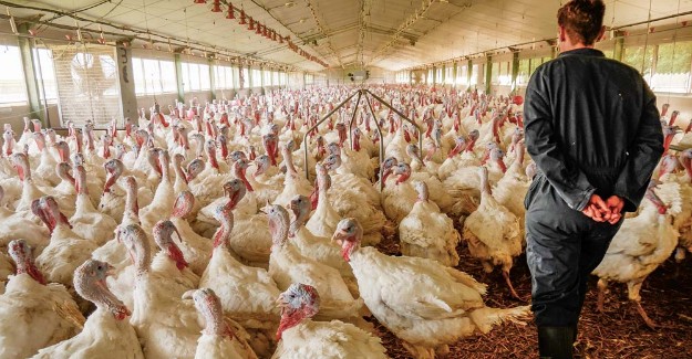 شروط امتهان : ﺗﻘﻨﻲ ﻣﺘﺨﺼﺺ ﻓﻲ ﺗﺮﺑﯿﺔ اﻟﺪواﺟﻦ