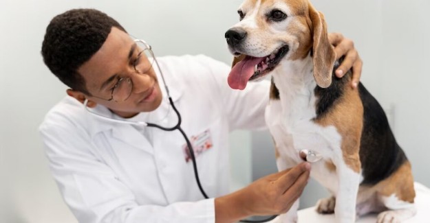 صورة المقال