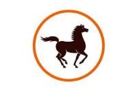 صورة الوظيفة