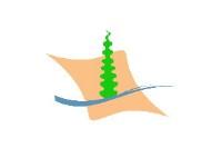 صورة الوظيفة