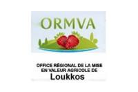 صورة الوظيفة